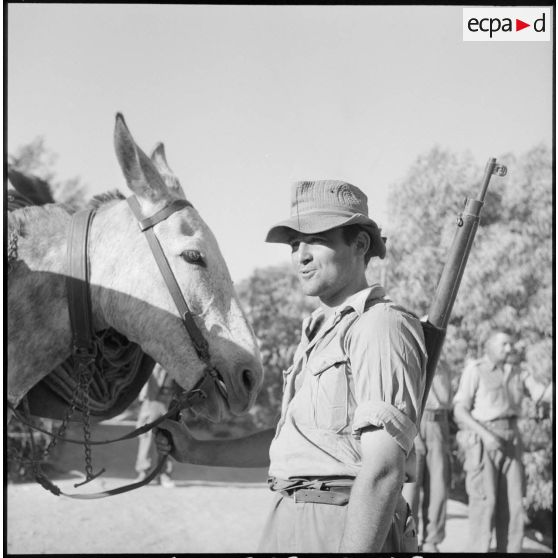 Un soldat de la 3/131e régiment d'infanterie (RI) pose avec l'un des chevaux qui ont accompagné la patrouille qui vient de rentrer.