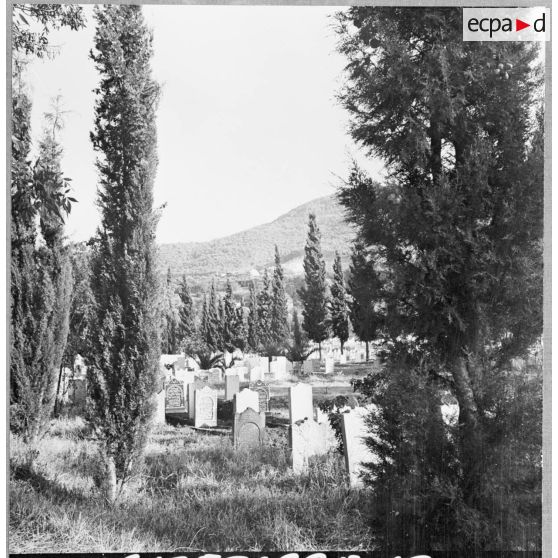 Le cimetière musulman de la ville de Tlemcen.