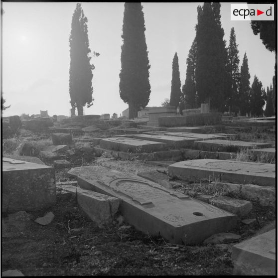 Vue du cimetière israélite de Tlemcen (?).