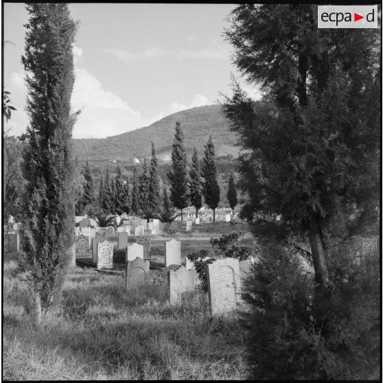 Le cimetière musulman de la ville de Tlemcen.