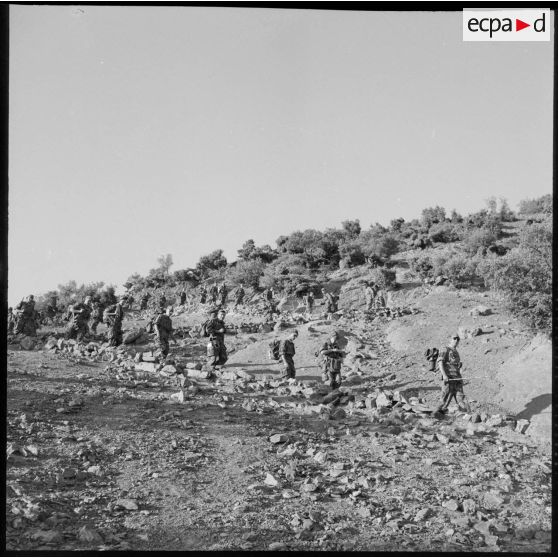 Une colonne de soldats du 2e régiment de parachutistes coloniaux (RPC) progresse dans la montagne Chréa.