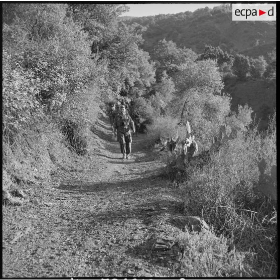 Une colonne du 2e régiment de parachutistes coloniaux (RPC) menée par le colonel Château-Jobert progresse dans la montagne Chréa.