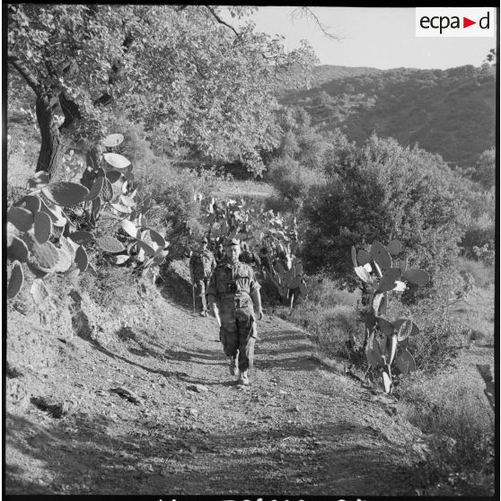 Une colonne du 2e régiment de parachutistes coloniaux (RPC) menée par le colonel Château-Jobert progresse dans la montagne Chréa.