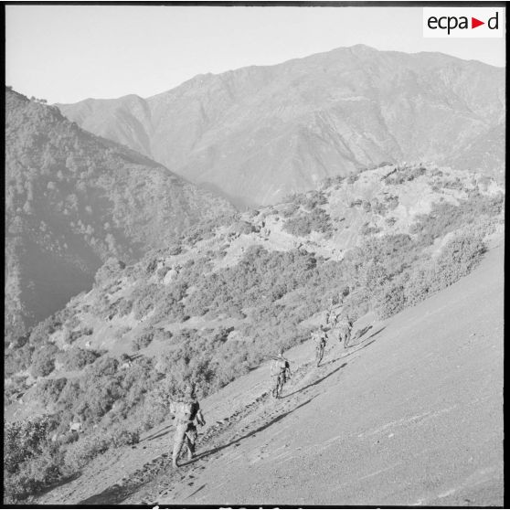 Progression d'une colonne du 2e régiment de parachutistes coloniaux (RPC) dans la montagne Chréa.