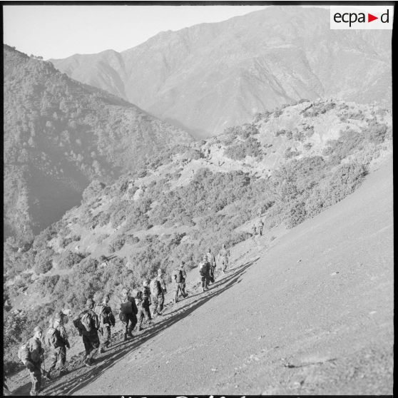 Une colonne du 2e régiment de parachutistes coloniaux (RPC) progresse dans la montagne Chréa.