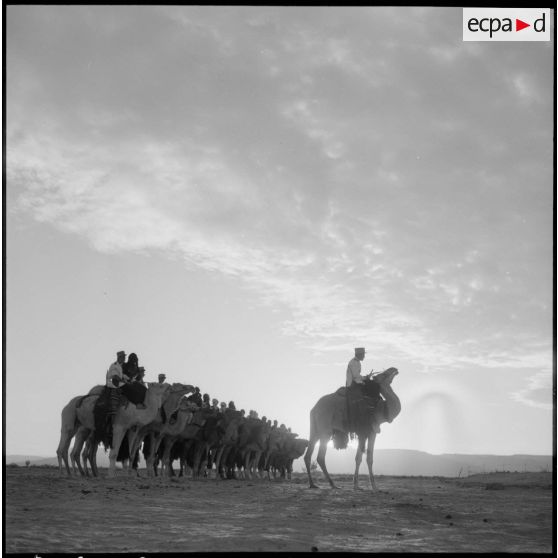 Le commandant du 2e peloton monté de la compagnie méhariste du Tassili (CMT) hissé sur son dromadaire au bordj de Tarat.