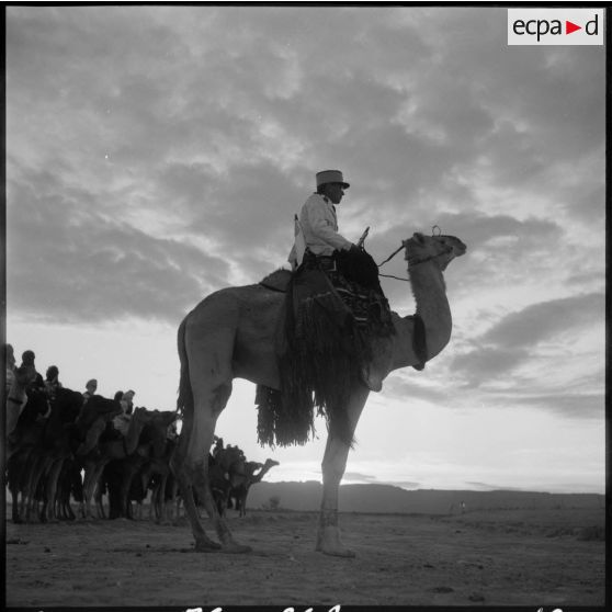 Le commandant du 2e peloton monté de la compagnie méhariste du Tassili (CMT) hissé sur son dromadaire au bordj de Tarat.