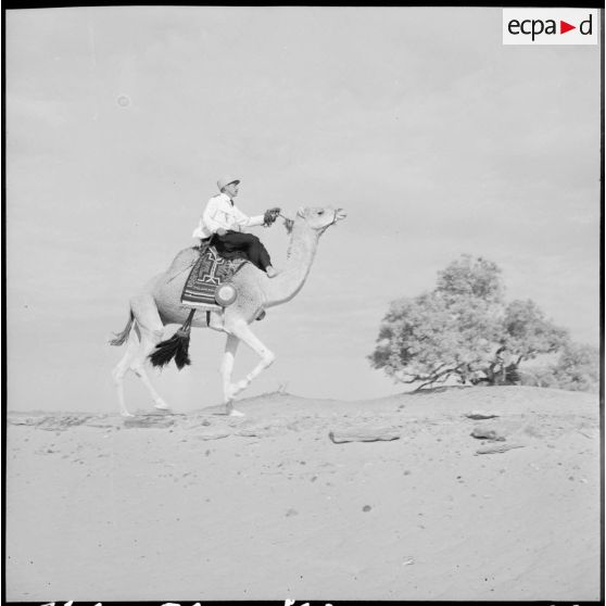 Le commandant du 1er peloton monté de la compagnie méhariste du Tassili (CMT) sur son dromadaire au galop dans la région du Tassili n'Ajjer.