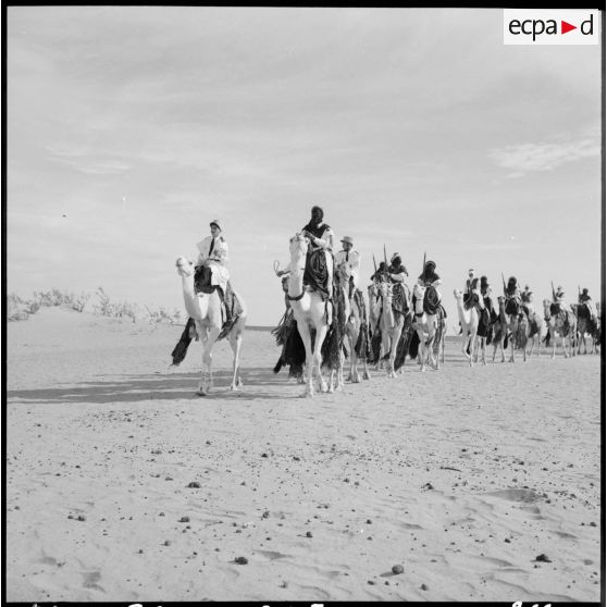 Défilé du 1er peloton monté de la compagnie méhariste du Tassili (CMT) dans la région du Tassili n'Ajjer.