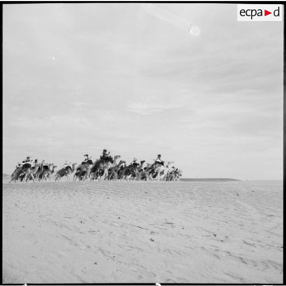 Le 1er peloton monté de la compagnie méhariste du Tassili (CMT) au galop dans la région du Tassili n'Ajjer.