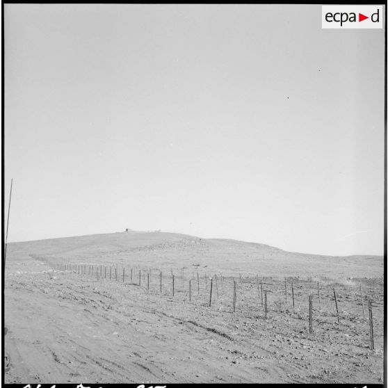 Le réseau de barbelés à la frontière algéro-marocaine, au sud-ouest de Nemours.