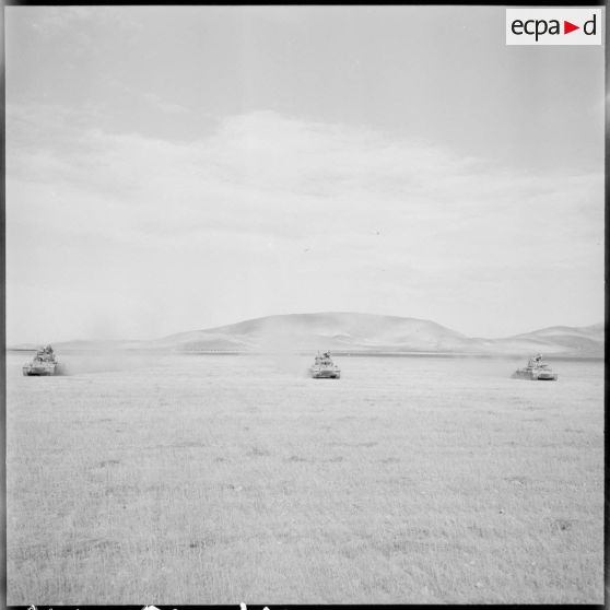 Patrouille d'un escadron du 2e régiment de spahis algériens (RSA) à bord de chars légers à la frontière algéro-marocaine.