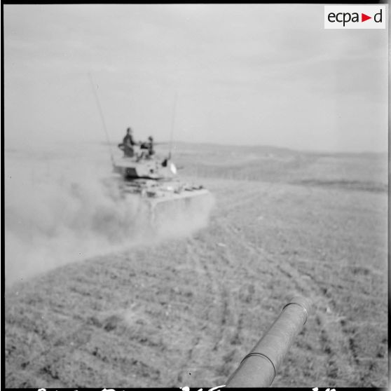 Patrouille d'un escadron du 2e régiment de spahis algériens (RSA) sur un char léger à la frontière algéro-marocaine.