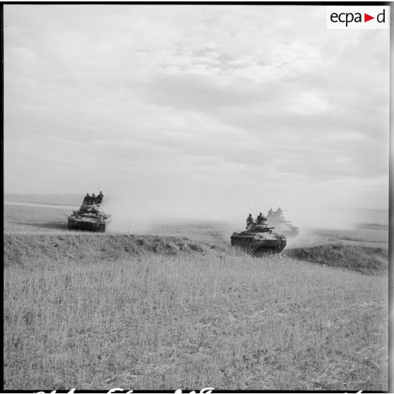 Patrouille d'un escadron du 2e régiment de spahis algériens (RSA) sur des chars légers à la frontière algéro-marocaine.