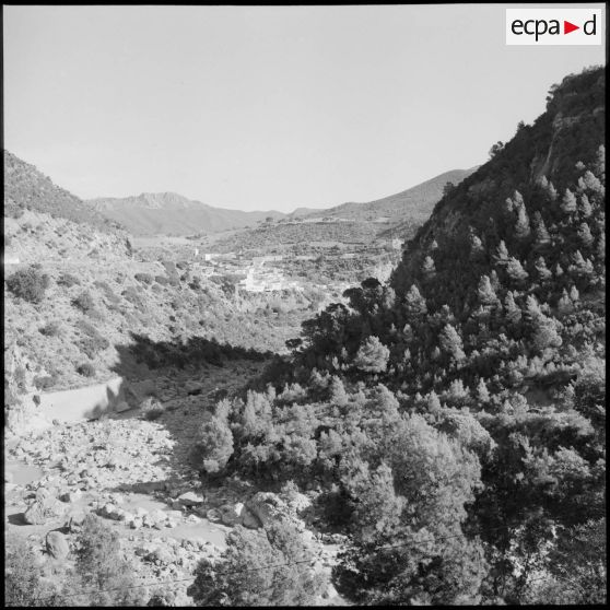 Les gorges de l'oued Allala.