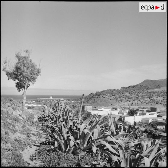 Les gorges de l'oued Allala.