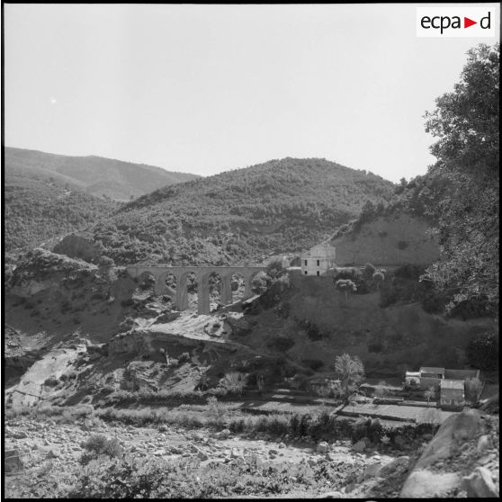 Les gorges de l'oued Allala.