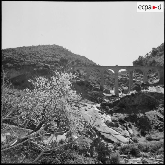 Viaduc sur l'oued Allala.