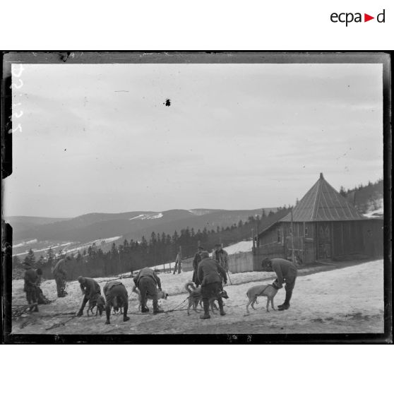 Le Tanet. Attelage de chiens de l'Alaska. [légende d'origine]