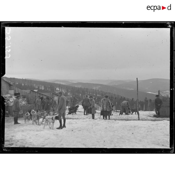 Le Tanet. Attelage de chiens de l'Alaska. [légende d'origine]