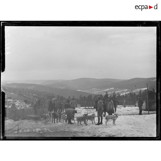 Le Tanet. Attelage de chiens de l'Alaska. [légende d'origine]