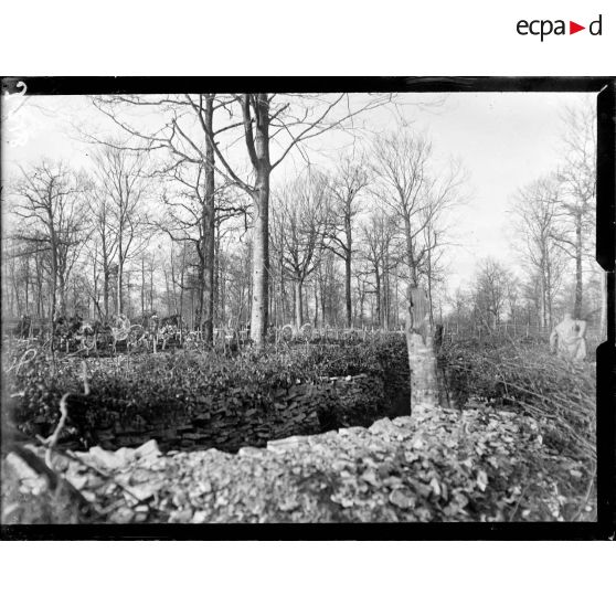 Tranchée de Calonne. Cimetière au milieu du réseau de fil de fer. [légende d'origine]