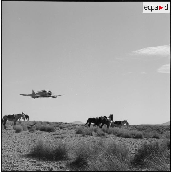 Vue d'un appareil de reconnaissance et d'appui au sol North American T-6.