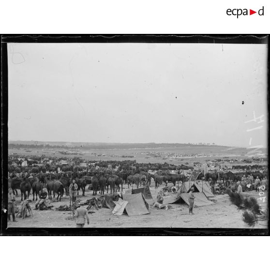 Cavalerie stationnée au dessus de Souain, dans la Marne. [légende d'origine]