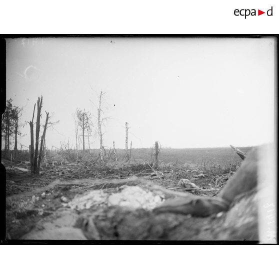 Vue prise de la tranchée en face du bois Boomerang. [légende d'origine]