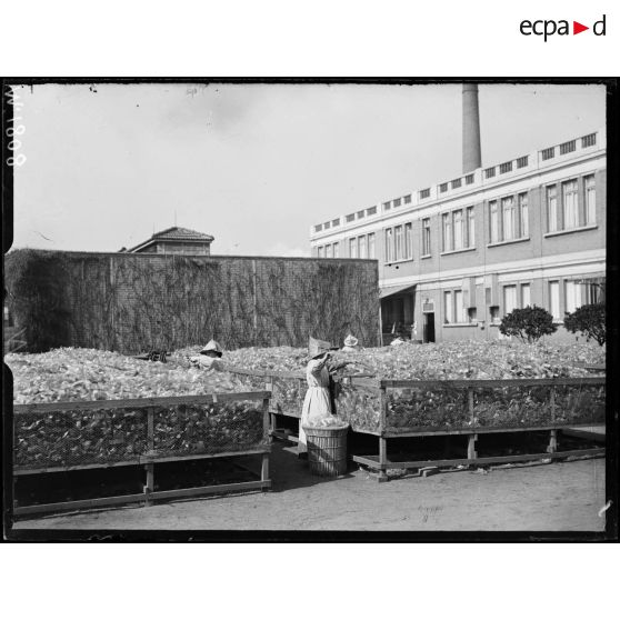 L'atelier de séchage des films de l'usine Pathé de Joinville-le-Pont. [légende d'origine]