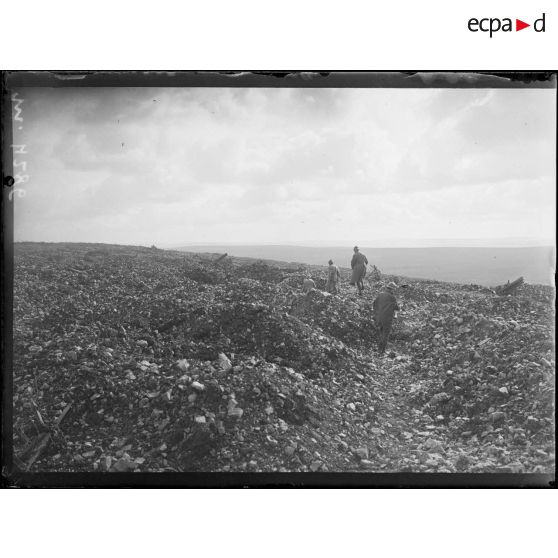 Le plateau de Pommérieux qui précède la cote 304. [légende d'origine]