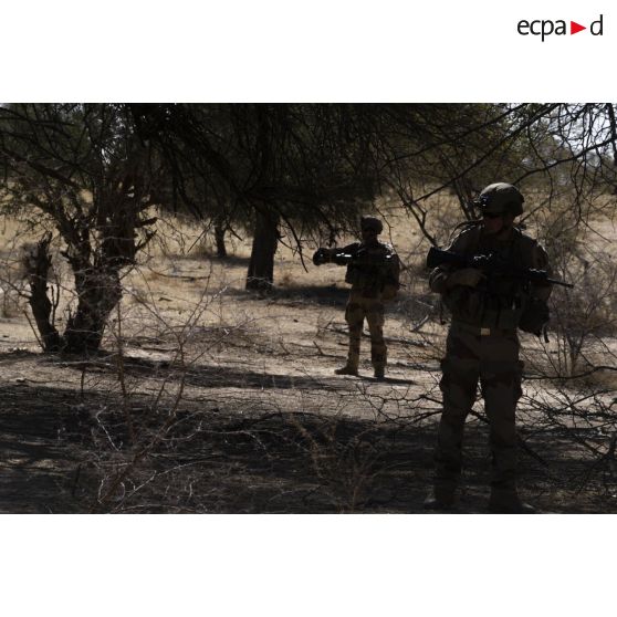 Des soldats du 16e bataillon de chasseurs (16e BCh) ratissent un ouadi dans le gourma malien.