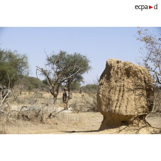 Des soldats du 16e bataillon de chasseurs (16e BCh) ratissent un ouadi dans le gourma malien.