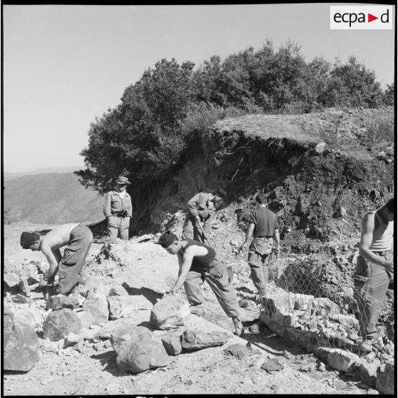 Percement d'une piste par le Génie dans le secteur d'Oran.