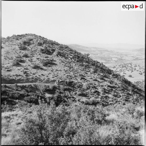 Percement d'une piste par le Génie dans le secteur d'Oran.