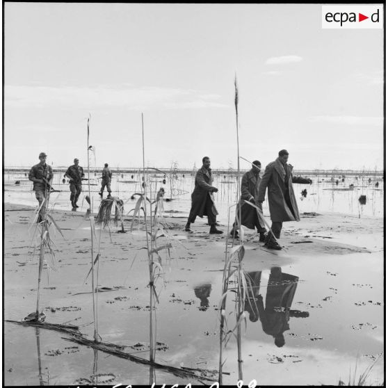 Prisonniers égyptiens à Port-Fouad.