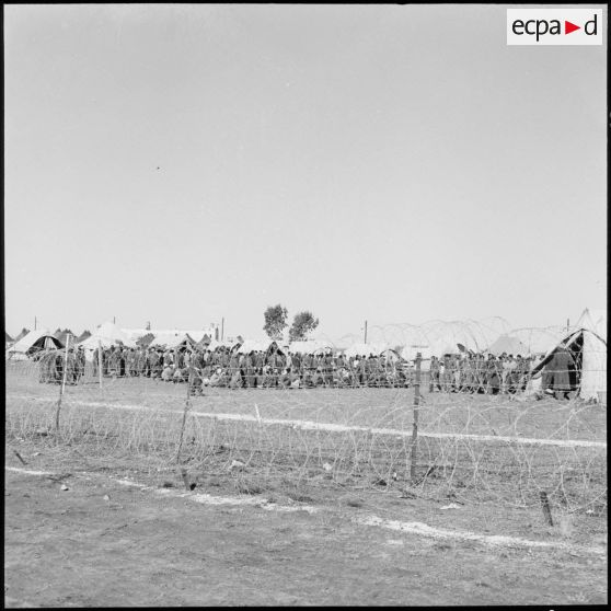 Camp de transit de prisonniers égyptiens en Israël.