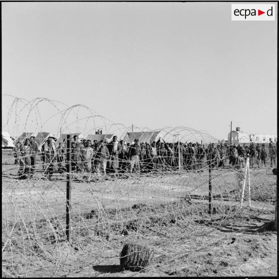 Camp de transit de prisonniers égyptiens en Israël.