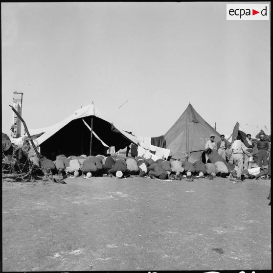 Camp de transit de prisonniers égyptiens en Israël.