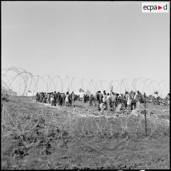 Camp de transit de prisonniers égyptiens en Israël.