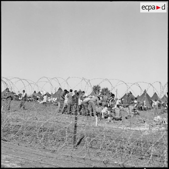 Camp de transit de prisonniers égyptiens en Israël.