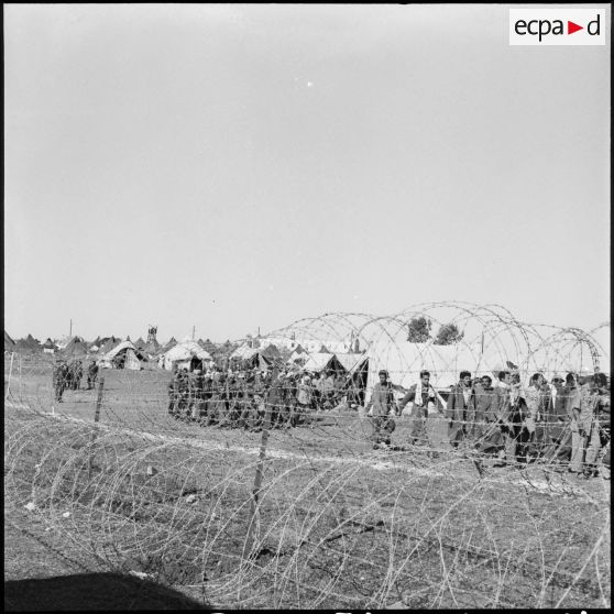 Camp de transit de prisonniers égyptiens en Israël.