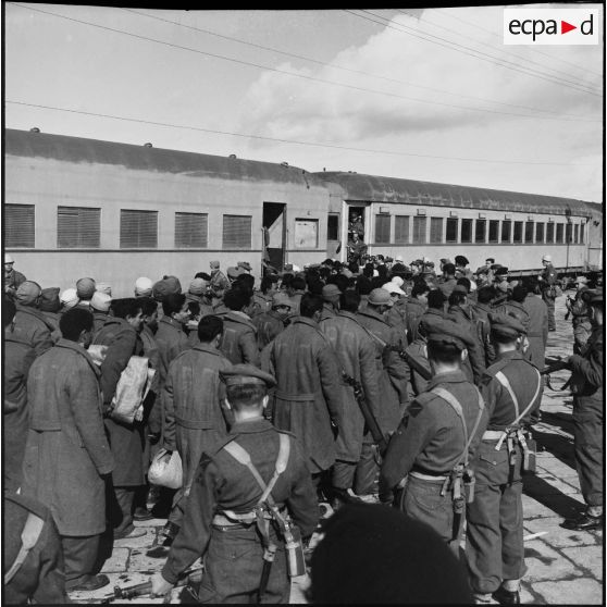 La remise de prisonniers égyptiens aux forces de police de l'ONU à Port-Saïd.