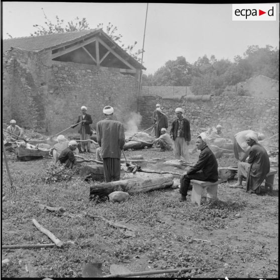 Préparation d'un méchoui à Kherba.