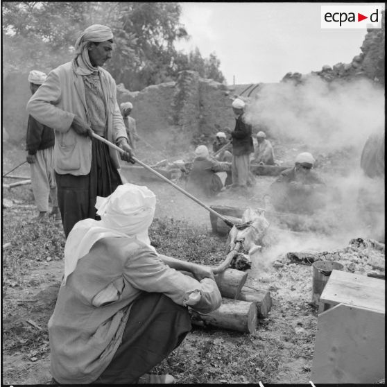 Préparation d'un méchoui à Kherba.