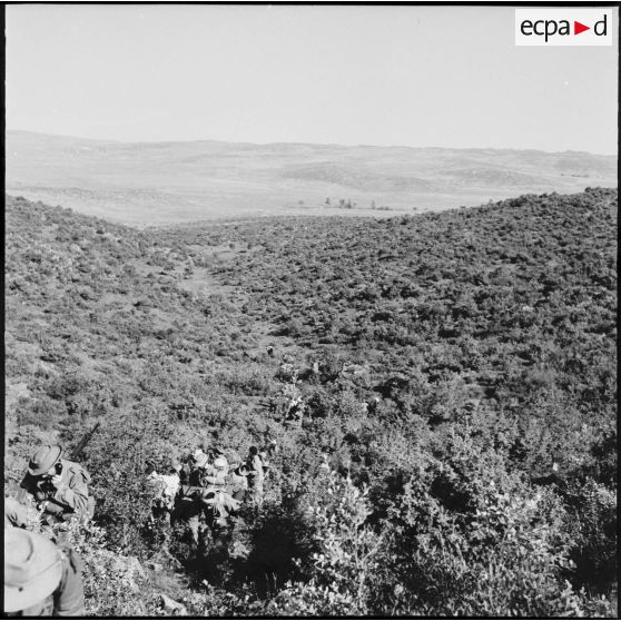 Djebel Nador. Opération de contrôle de la demi-brigade des fusiliers marins (DBFM).