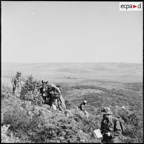 Djebel Nador. Opération de contrôle de la demi-brigade des fusiliers marins (DBFM).