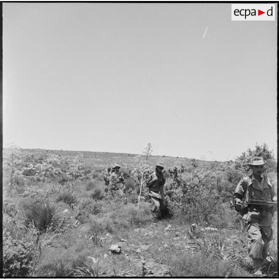 Djebel Nador. Opération de contrôle de la demi-brigade des fusiliers marins (DBFM).