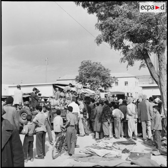 Tebessa. Prisonniers faits par le 8e régiment de parachutistes coloniaux (RPC).