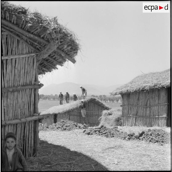 Travaux d'aménagement du centre de regroupement de Taher El Achouet.